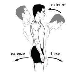 cbt25136en-extension-flexion-3-286x266-cz.jpg