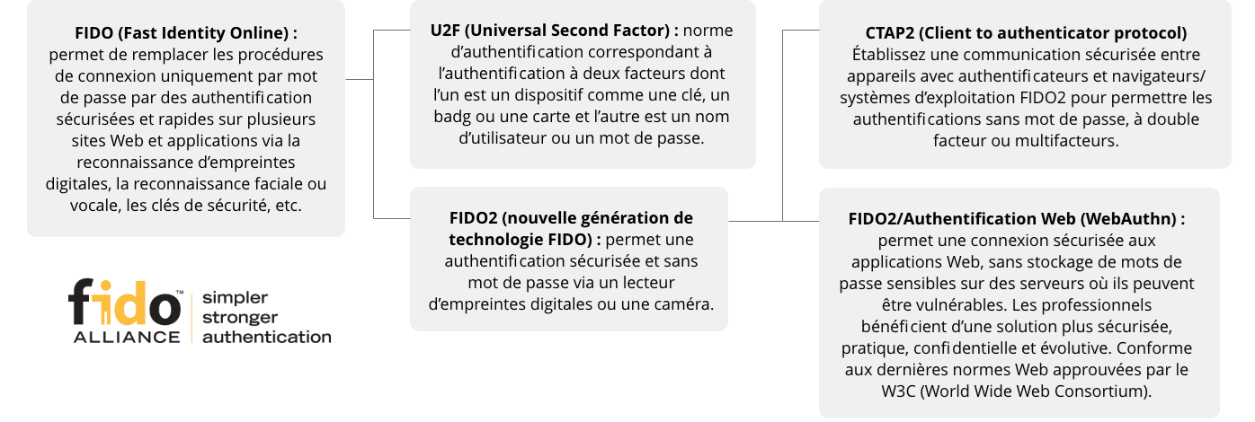 chart-terminology-fr-3.2020.png