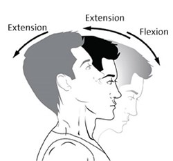 CBT25136FR-extension-flexion-1-286x266.jpg