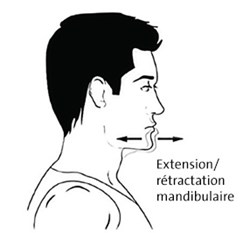 CBT25136FR-extension-flexion-2-286x266.jpg