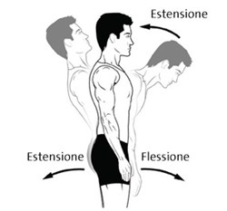 CBT25136IT-extension-flexion-3-286x266.jpg